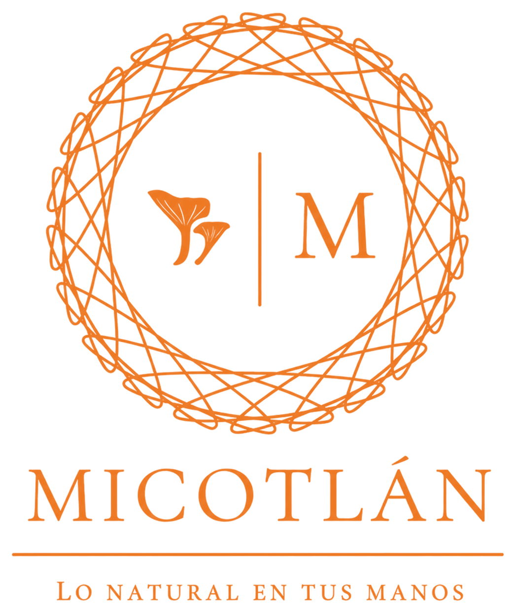 Micotlán — Lo natural en tus manos